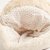 小小萌 儿童宝宝秋冬鸭舌帽 加绒护耳(头围48-50 米色)第4张高清大图