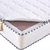 吟鸿床垫 椰棕床垫 弹簧床垫 织锦面料+3E椰梦维+精钢弹簧(1500*1900)第3张高清大图