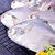 国联东海白鲳鱼600g 5-8条 银鲳鱼 平鱼 产地直供 国产 冷冻 袋装 生鲜 海鲜水产第5张高清大图