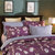 帝堡龙  加厚美式印花亲肤床上用品四件套(紫柏尔)第4张高清大图