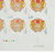 《丙申年》邮票八枚版(8枚公一张、8枚母一张)第3张高清大图