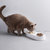 小佩PETKIT可调节猫碗塑料双食碗 自动饮水斜口猫碗第5张高清大图