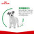 皇家SPR27小型犬老年犬全价狗粮2kg 8岁以上第4张高清大图