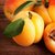 陕西特产优选一级大黄杏5斤（2500g包邮）农家杏子新鲜水果现摘现发第2张高清大图