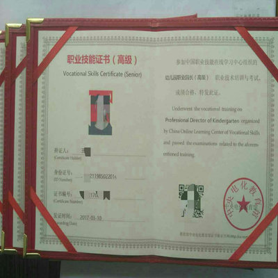 中央电教馆直出资格证幼儿园园长证 幼儿园幼