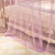 黛丝丹奴蚊帐三开门加粗公主风落地支架1.2/1.5/1.8m2米床双人家用(浅紫色 2.0x2.2m（25mm支架）)第5张高清大图