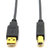 CE-LINK 4005 USB2.0高速打印线连接线（24K镀金端子 高密度无氧铜导体 隔离电磁干扰 ）2米 雪白色第3张高清大图
