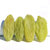 维汉葡萄干新疆特级大独小包装免洗吐鲁番绿葡萄提子干特产零食第2张高清大图