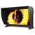 EIZO艺卓CG3146 31.1英寸HDR参考级色彩监视器显示器DCI-4K视频编辑调色观色(黑)第2张高清大图