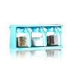 青苹果 玻璃调味罐调味盒3件套 TWP10-300/L3(颜色随机发货)