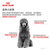 皇家PD30贵宾泰迪小型犬成犬狗粮 全价粮 7.5kg 狗粮第2张高清大图