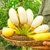 誉福园广西苹果蕉香蕉5斤装 冰淇淋口感 软糯香甜第6张高清大图