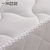 一米色彩 乳胶床垫 进口天然椰棕海绵弹簧席梦思 床垫棕垫1.5m1.8m床(纯白色 1200*2000*230)第4张高清大图