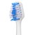 博皓(prooral) 标准型清洁牙刷头3个装2090 适用2032/2030/203A 白色第3张高清大图