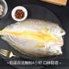 三都港宁德大黄花鱼 鱼鲞500g (已调味) 海鲜水产 生鲜 鱼类 国美超市甄选