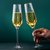 红酒杯套装家用奢华白葡萄酒杯高颜值高脚杯高档水晶香槟杯子欧式(金边香槟杯(1只))第3张高清大图