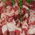 【内蒙特产】草原羔羊大肉串25g*20串 肉质鲜嫩第2张高清大图