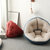 SKYMI创意懒人沙发折叠豆袋布艺沙发小户型单人午休地垫客厅榻榻米(蓝米拼色 小号款)第5张高清大图