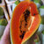 17岁的甜广西红心木瓜9斤装净重约8.5斤 当季新鲜水果第2张高清大图