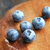 【果郡王】山东蓝莓鲜果125g*4盒  新鲜蓝莓水果 包邮第4张高清大图