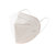 埃微成人KN95口罩五层防护含熔喷布(白色1袋10片)第3张高清大图