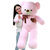 爱尚熊泰迪熊猫毛绒玩具80cm粉丝带 国美超市甄选第3张高清大图