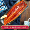 鳗鲡堂蒲烧烤鳗鱼330g 整条装 出口日本26年 加热即食 生鲜 鱼类 海鲜水产