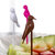 唛唛 时尚创意鸟笼水果叉套装 环保易放置水果签第5张高清大图