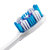 高露洁360°全面口腔清洁牙刷2支装 清洁软刷细菌倍减第7张高清大图