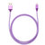 雨花泽 苹果金属头渔网数据线 手机充电线 通用于iphone6/plus/5/5s/5C/ipa紫色 MLJ-6981第2张高清大图