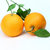 泰纳果园 产地直发新鲜脐橙 赣南晚橙 12枚装（约5斤）第4张高清大图