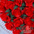创意结婚摆件送老婆女朋友情人节礼物 10寸红玫瑰挂盘（喷色）心心相印第3张高清大图