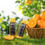 农夫山泉NFC橙汁果汁饮料 100%鲜果冷压榨 橙子冷压榨 300ml*24瓶  整箱装第8张高清大图