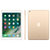 苹果（Apple）iPad 9.7英寸平板电脑 128G WLAN+Cellular版 A9芯片 Retina屏 4G版(金色)第2张高清大图
