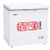 星星(XINGX)BD/BC-258A 258升双温冷冻冷藏家用外用冰柜商用冷柜顶第2张高清大图