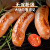 喜旺台湾大块肉儿童肠 400g 烤肠 香肠 0淀粉纯肉肠 国美超市甄选