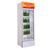 澳柯玛(AUCMA)SC-387 387升单温冷藏立式展示冰柜冷柜商用冰箱陈列柜第3张高清大图