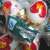 北尚唐食 山东精品国丹红心麻鸭蛋 鸭蛋 生态蛋 蛋品礼盒[20枚] 1.3Kg第2张高清大图