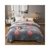 夏季珊瑚绒雪花绒小毛毯单双人毛毯家用空调盖毯(香甜草莓-绿)第9张高清大图