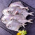 国联东海白鲳鱼600g 5-8条 银鲳鱼 平鱼 产地直供 国产 冷冻 袋装 生鲜 海鲜水产第4张高清大图
