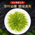IUV【润虎】传蕴系列 2021新茶碧螺春(绿茶)250克（125克*2） 甄选新茶 头采嫩芽第5张高清大图