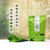 国美茶引·云雾春芽 绿茶 散装(自立袋 50g X 5袋)第2张高清大图