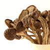 八荒福建古田茶树菇特产干货蘑菇200g 炖汤煲汤材料