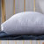 多喜爱【IUV爆款】舒睡助眠枕中枕 蓬松舒适 有效承托静音安眠 优质羽丝绒 可水洗第4张高清大图