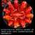 红小厨麻辣小龙虾1.5kg 4-6钱/25-38只 净虾750g 火锅食材 海鲜水产第3张高清大图