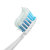 佳洁士 健康专家牙龈护理牙膏140g/支第4张高清大图