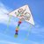 猪猪侠 彩绘涂鸦风筝系列 zzx01879  企业定制  不零售  500件起订第6张高清大图