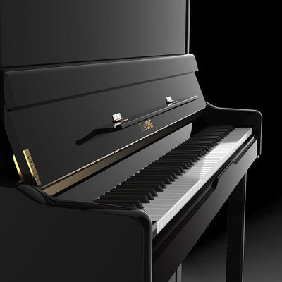 The ONE 立式钢琴 高端全新TC23 德国工艺 进口配件 家庭教学专业级立式钢琴 经典黑