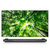 LG电视 OLED65W8XCA 65英寸 4K超高清 智能壁纸电视 人工智能画质引擎 影院HDR 杜比全景声第5张高清大图