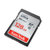 闪迪（SanDisk）SD卡 高速SDHC存储卡 16G 32G 64G 128G class10 80M/S 相机卡(128G)第4张高清大图
